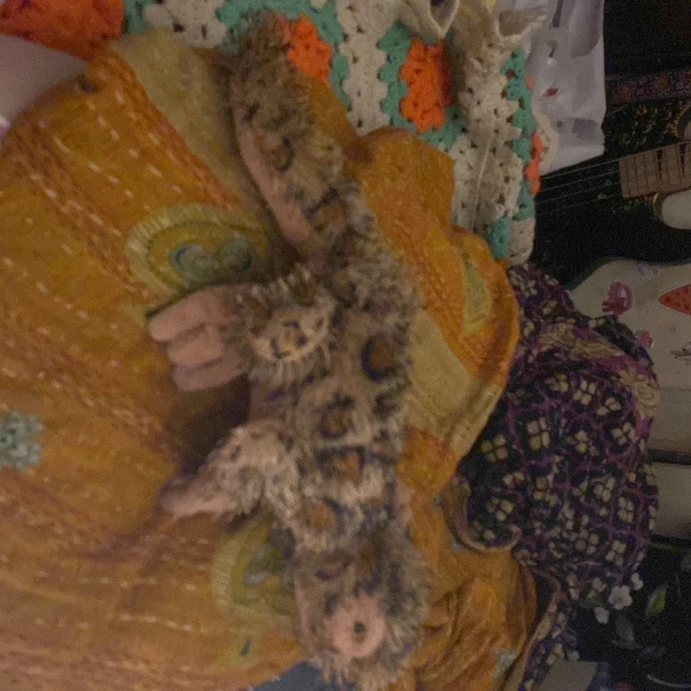 Ganz leopard lizard plush toy. He is gently loved and soft as a kitten! - Picture 4 of 9